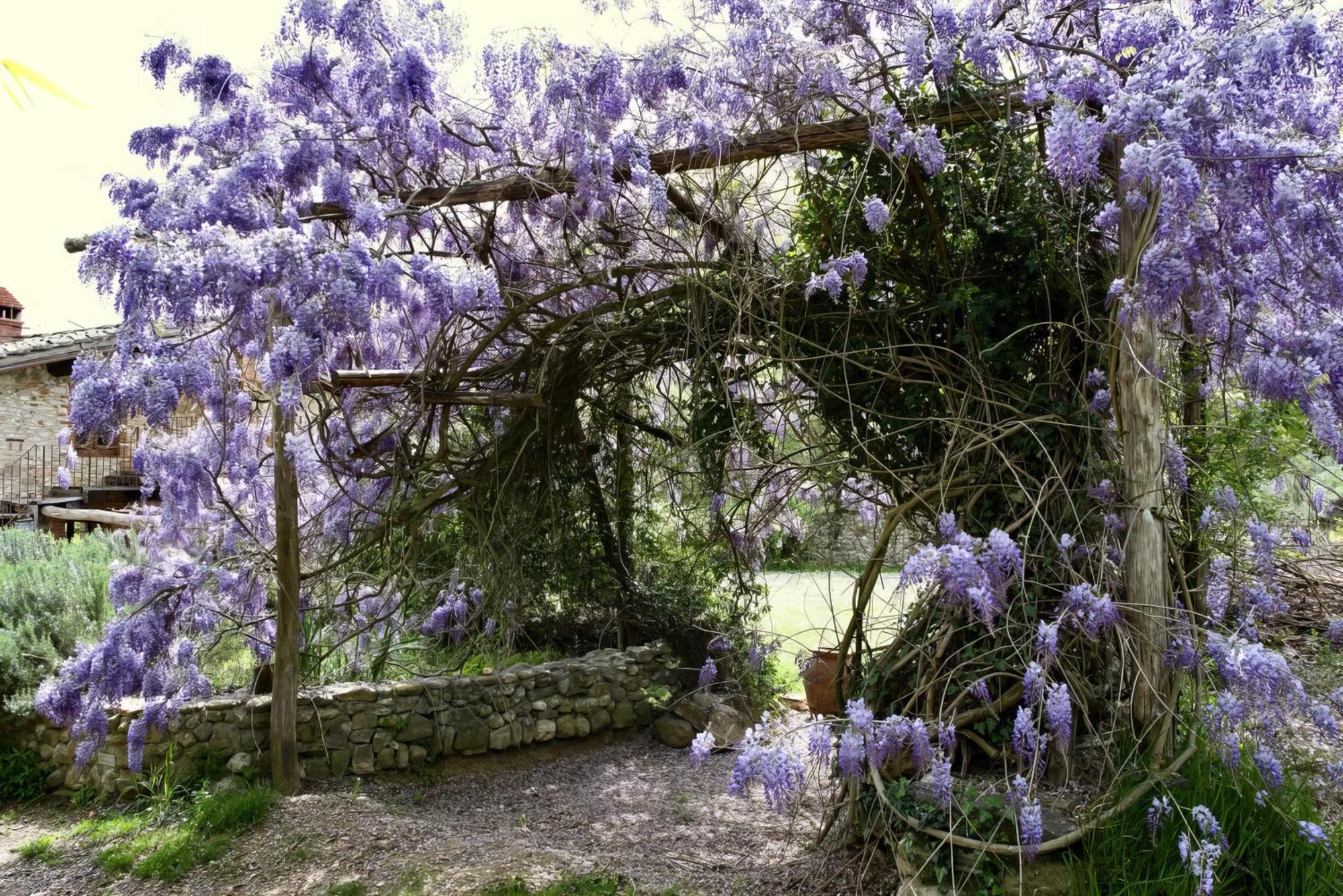 Molino In Chianti Villa Mercatale Val Di Pesa Eksteriør bilde